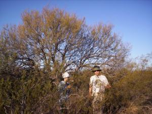 Valeria Aschero and Diego Vázquez working in Ñacuñán Biosphere Reserve. See Aschero et al. (2016) Forest Ecology & Management, Aschero et al. (2009) Austr. Ecol. and Vázquez et al. (2008) RSEA.